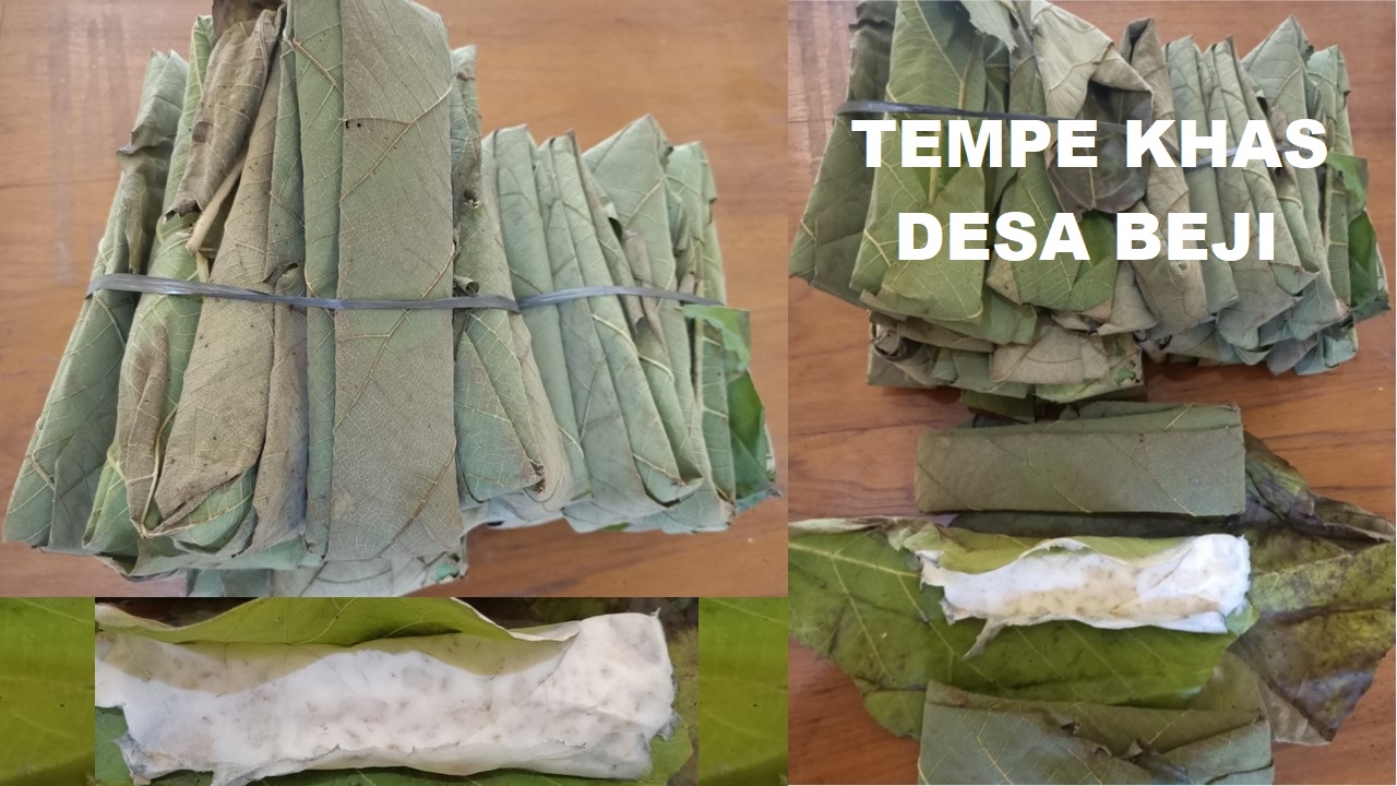 Nyess... Kelezatan Tempe Beji