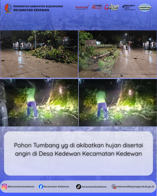 Respon Cepat Penanganan Pohon Tumbang di Wilayah Kedewan